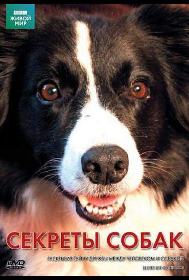 Тайная жизнь собак